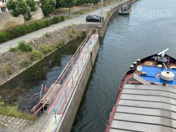 Mainschwimmen Juni 2026